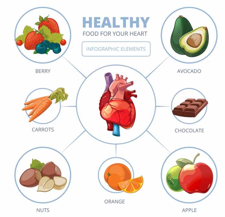 Artery Calcification Diet