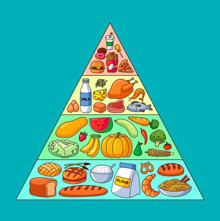 Understanding the Elements of a Balanced Diet