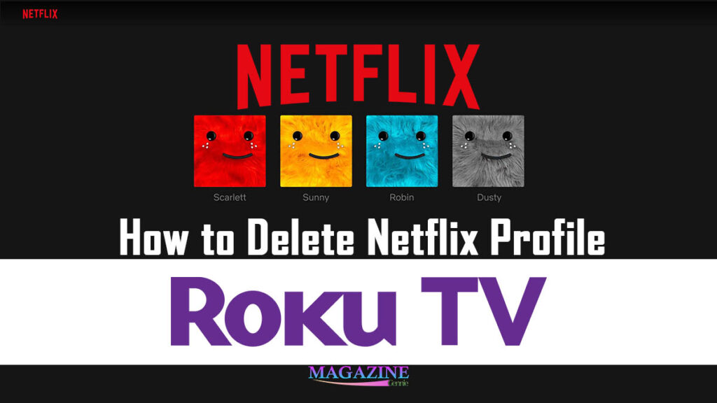 How to Delete Netflix Profile on Roku TV