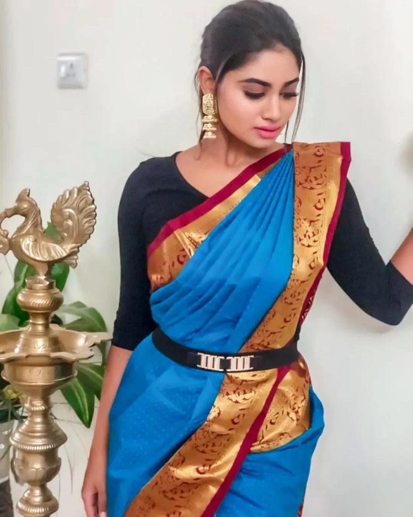 Actress Shivani Narayanan Saree Collection 11