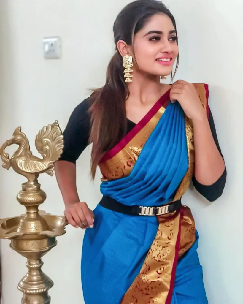 Actress Shivani Narayanan Saree Collection 12