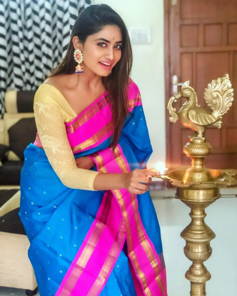 Actress Shivani Narayanan Saree Collection 19