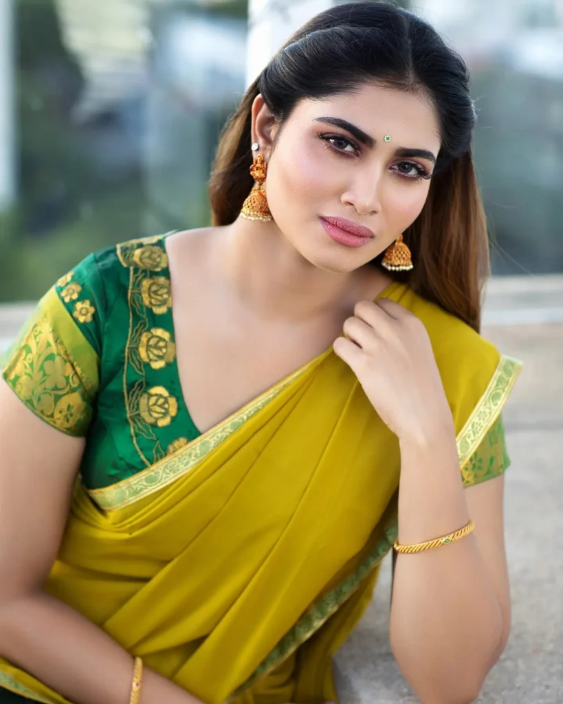 Actress Shivani Narayanan Saree Collection 29