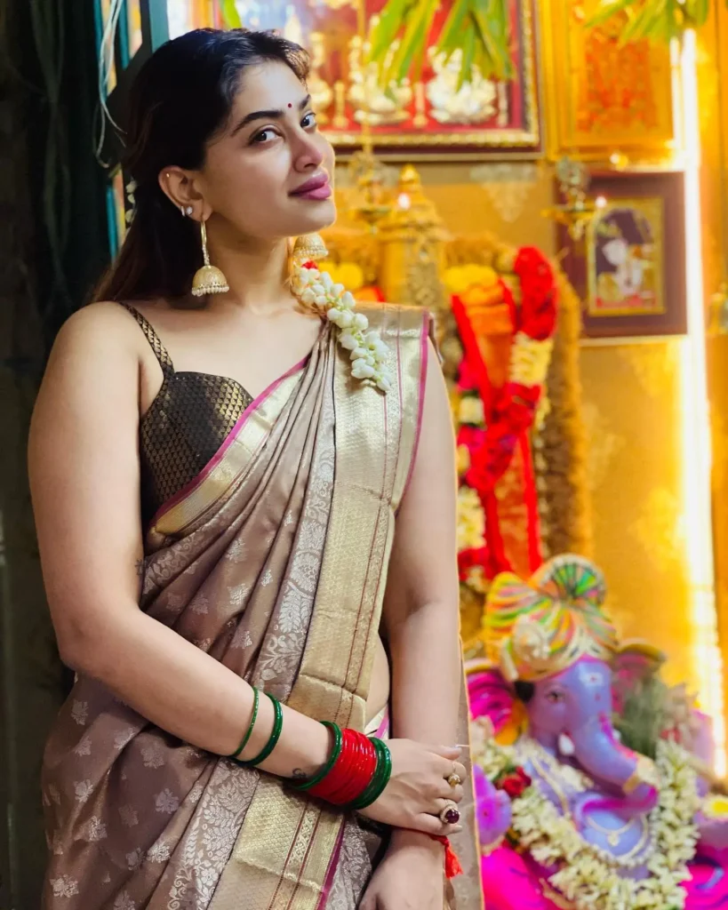 Actress Shivani Narayanan Saree Collection 33