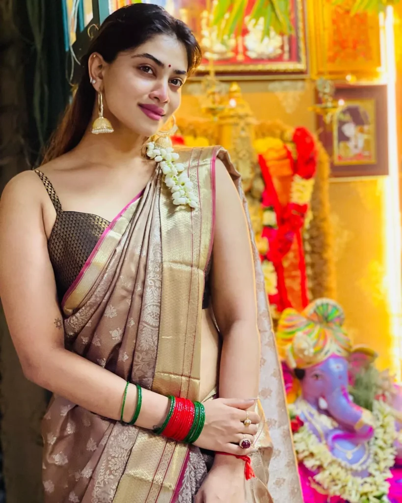 Actress Shivani Narayanan Saree Collection 38