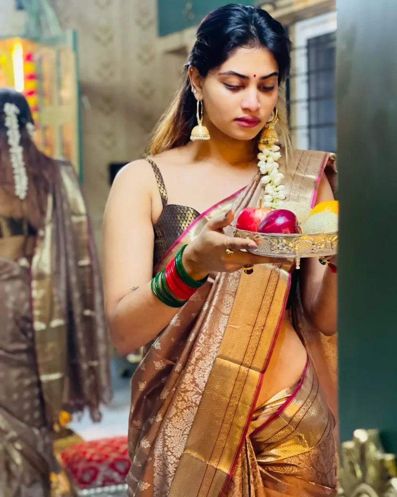 Actress Shivani Narayanan Saree Collection 39