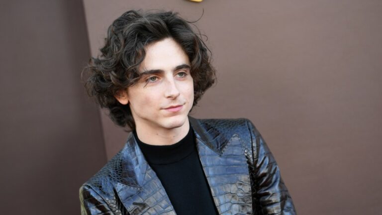 Timothée Chalamet’s Team Offered to Pay Lookalike Contest’s $500 Fine